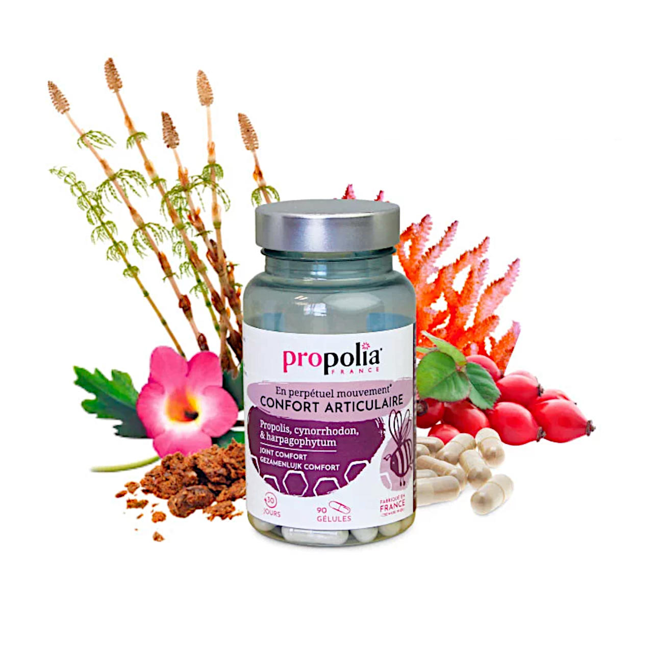 Dose mit Etikett, daneben Kapseln und Zutaten